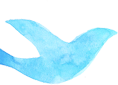 鳥